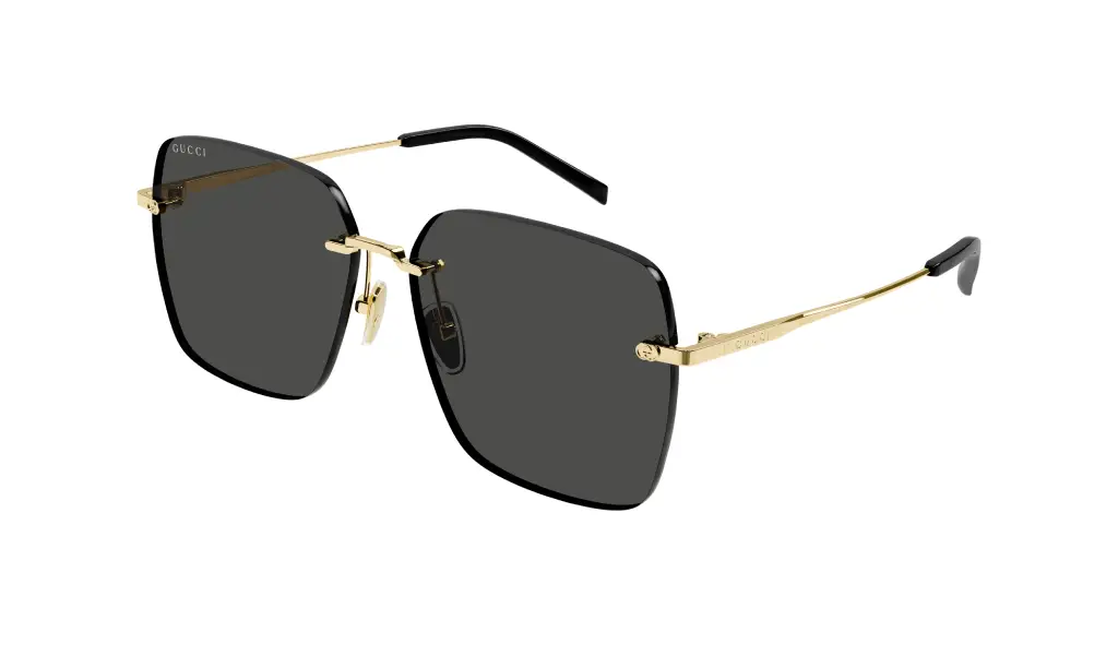 GG-S/1955A/001*60